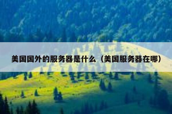 美国国外的服务器是什么（美国服务器在哪） 第1张
