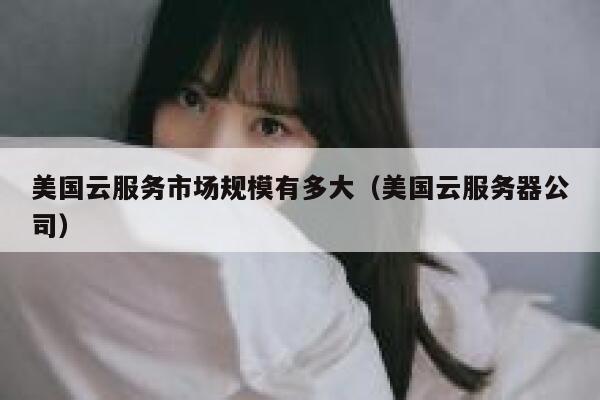 美国云服务市场规模有多大（美国云服务器公司） 第1张