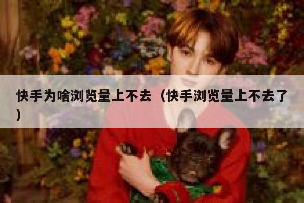 快手为啥浏览量上不去（快手浏览量上不去了） 第1张