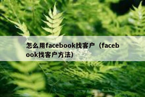怎么用facebook找客户（facebook找客户方法） 第1张