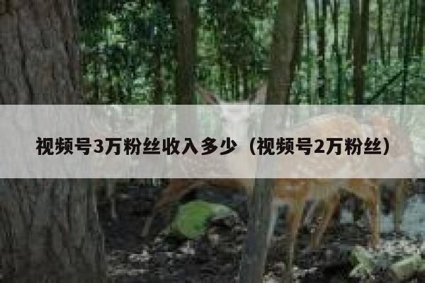 视频号3万粉丝收入多少（视频号2万粉丝） 第1张