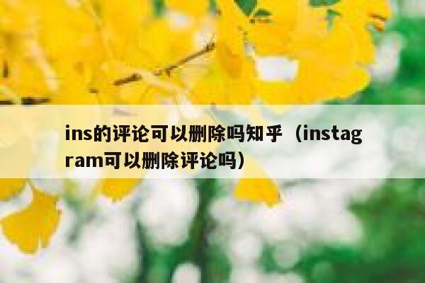 ins的评论可以删除吗知乎（instagram可以删除评论吗） 第1张