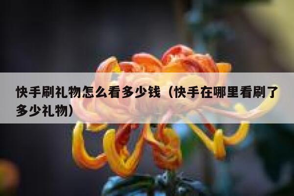 快手刷礼物怎么看多少钱（快手在哪里看刷了多少礼物） 第1张