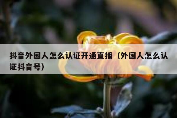 抖音外国人怎么认证开通直播（外国人怎么认证抖音号） 第1张