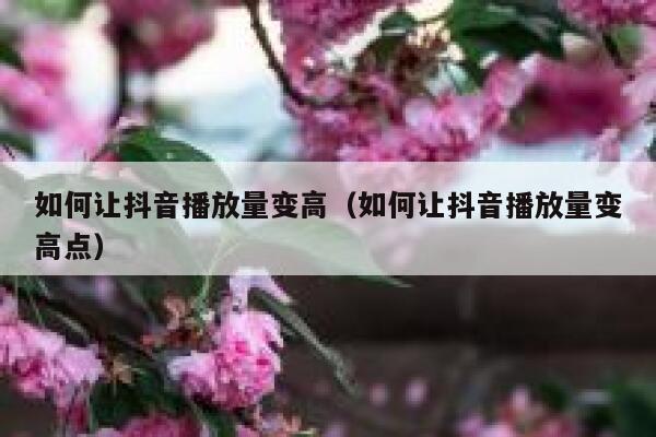如何让抖音播放量变高（如何让抖音播放量变高点） 第1张