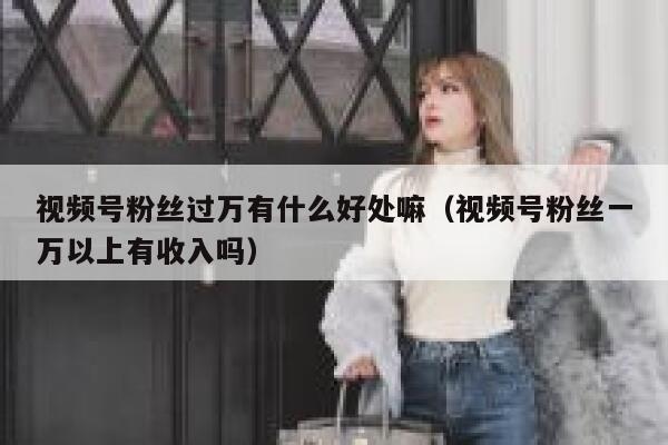 视频号粉丝过万有什么好处嘛（视频号粉丝一万以上有收入吗） 第1张