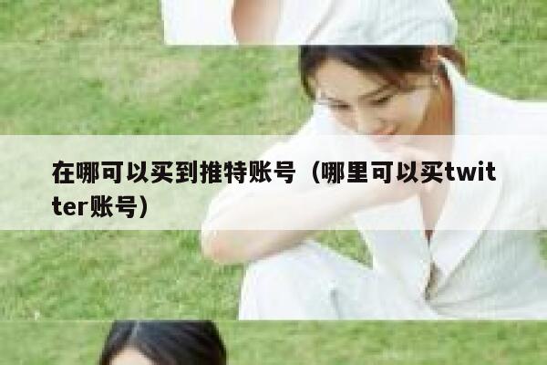 在哪可以买到推特账号（哪里可以买twitter账号） 第1张