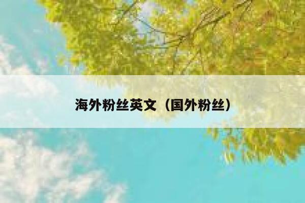 海外粉丝英文（国外粉丝） 第1张