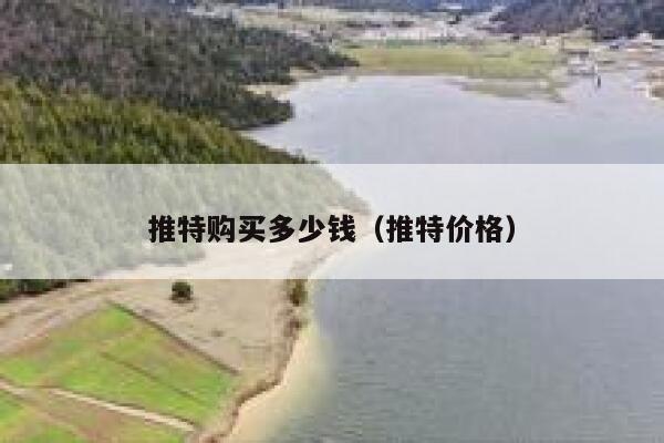 推特购买多少钱（推特价格） 第1张