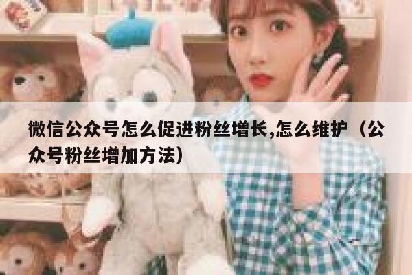 微信公众号怎么促进粉丝增长,怎么维护（公众号粉丝增加方法） 第1张