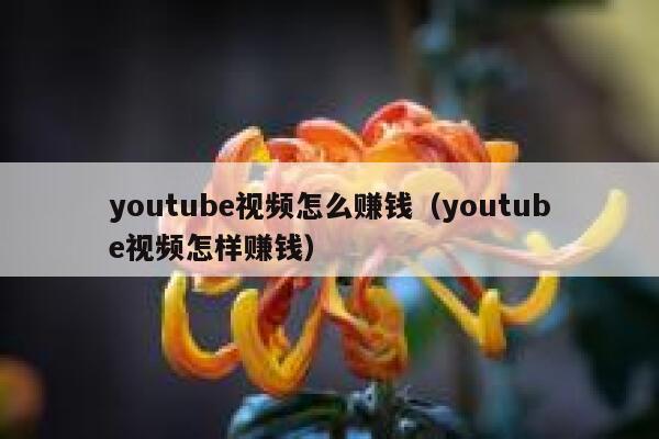 youtube视频怎么赚钱（youtube视频怎样赚钱） 第1张