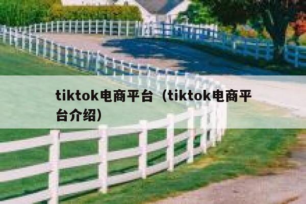 tiktok电商平台（tiktok电商平台介绍） 第1张