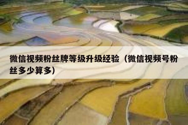 微信视频粉丝牌等级升级经验（微信视频号粉丝多少算多） 第1张
