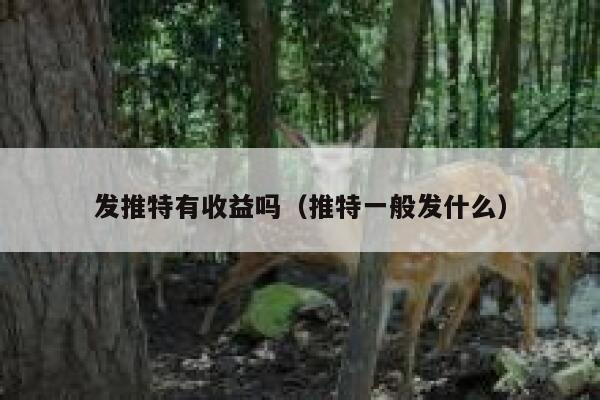 发推特有收益吗（推特一般发什么） 第1张