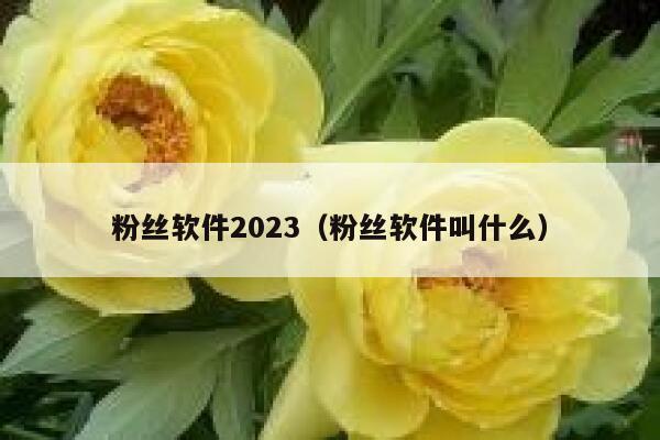 粉丝软件2023（粉丝软件叫什么） 第1张