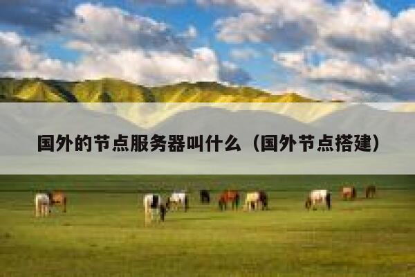国外的节点服务器叫什么（国外节点搭建） 第1张