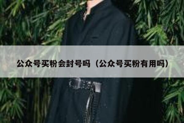 公众号买粉会封号吗（公众号买粉有用吗） 第1张
