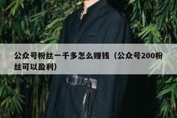 公众号粉丝一千多怎么赚钱（公众号200粉丝可以盈利） 第1张