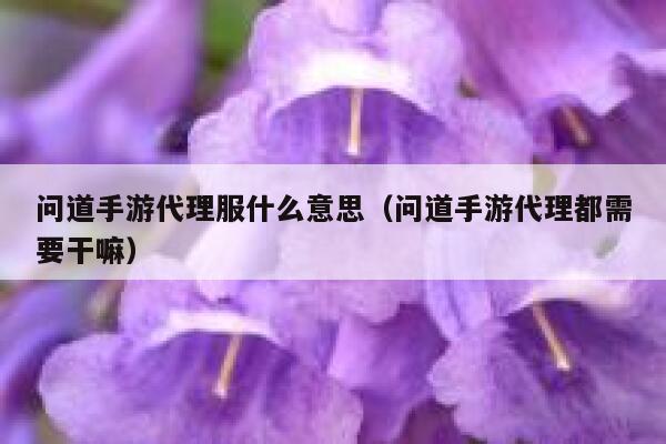 问道手游代理服什么意思（问道手游代理都需要干嘛） 第1张