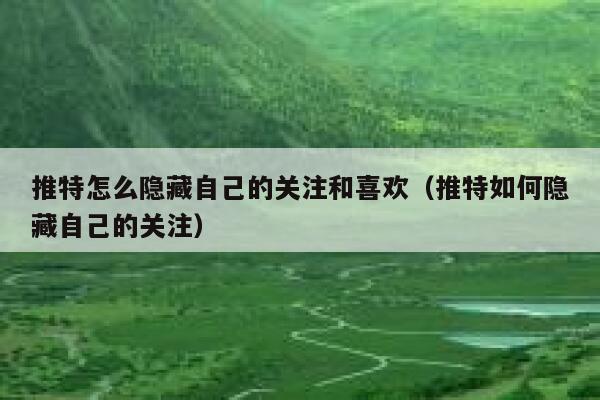 推特怎么隐藏自己的关注和喜欢（推特如何隐藏自己的关注） 第1张