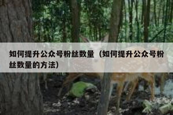 如何提升公众号粉丝数量（如何提升公众号粉丝数量的方法） 第1张