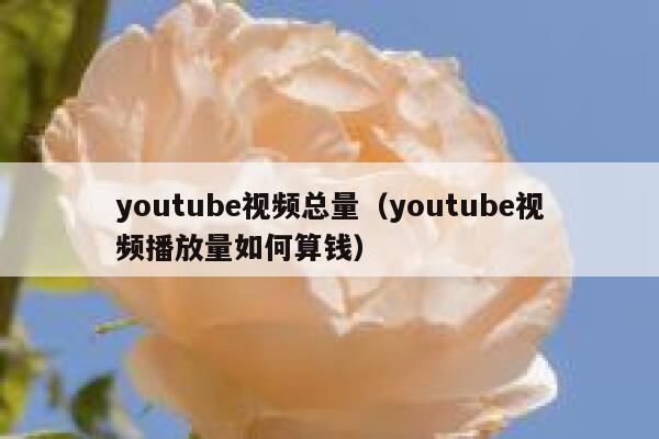 youtube视频总量（youtube视频播放量如何算钱） 第1张