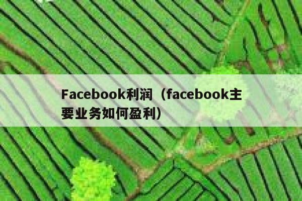 Facebook利润（facebook主要业务如何盈利） 第1张