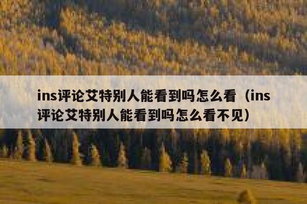 ins评论艾特别人能看到吗怎么看（ins评论艾特别人能看到吗怎么看不见） 第1张