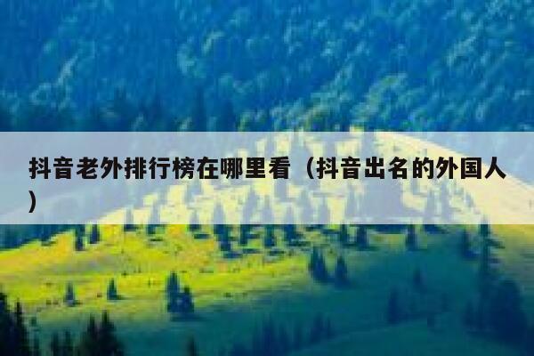 抖音老外排行榜在哪里看（抖音出名的外国人） 第1张