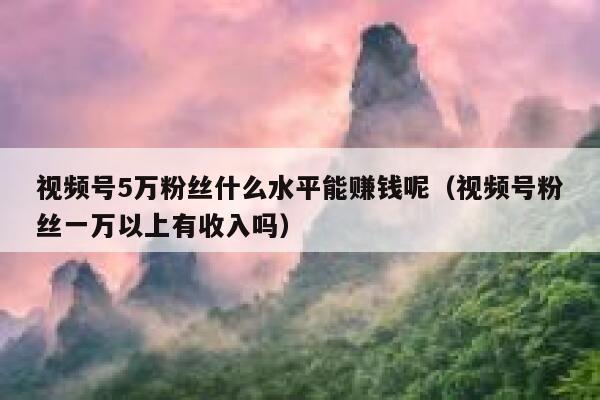 视频号5万粉丝什么水平能赚钱呢（视频号粉丝一万以上有收入吗） 第1张