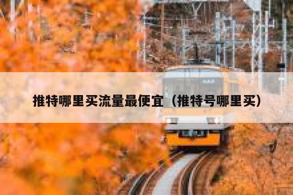 推特哪里买流量最便宜（推特号哪里买） 第1张