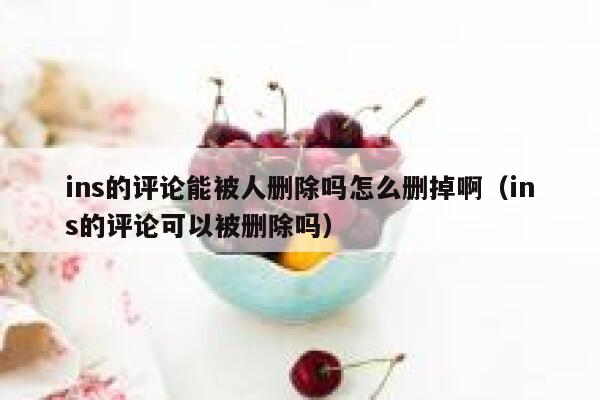 ins的评论能被人删除吗怎么删掉啊（ins的评论可以被删除吗） 第1张