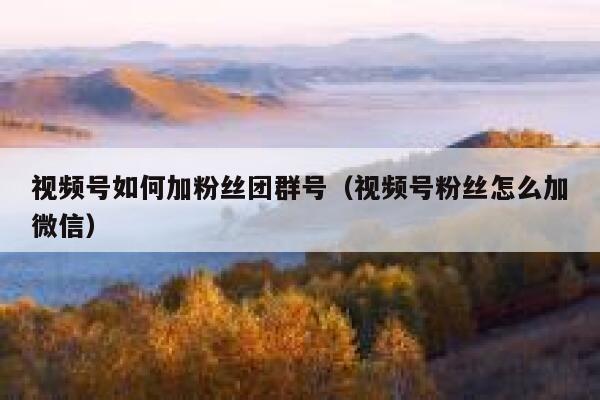视频号如何加粉丝团群号（视频号粉丝怎么加微信） 第1张