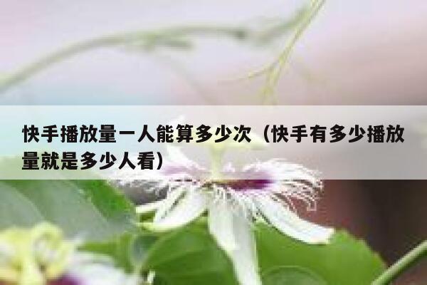 快手播放量一人能算多少次（快手有多少播放量就是多少人看） 第1张