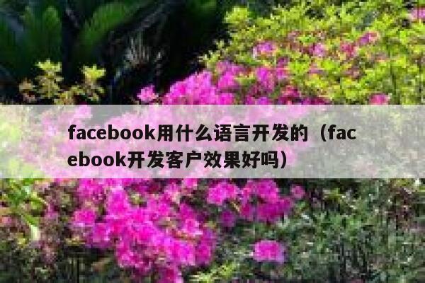 facebook用什么语言开发的（facebook开发客户效果好吗） 第1张