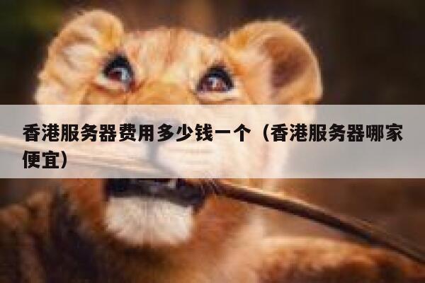 香港服务器费用多少钱一个（香港服务器哪家便宜） 第1张