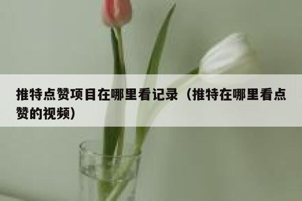 推特点赞项目在哪里看记录（推特在哪里看点赞的视频） 第1张