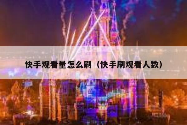 快手观看量怎么刷（快手刷观看人数） 第1张