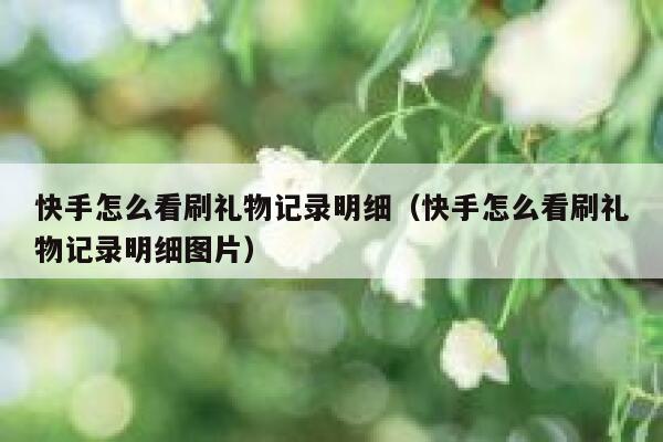 快手怎么看刷礼物记录明细（快手怎么看刷礼物记录明细图片） 第1张