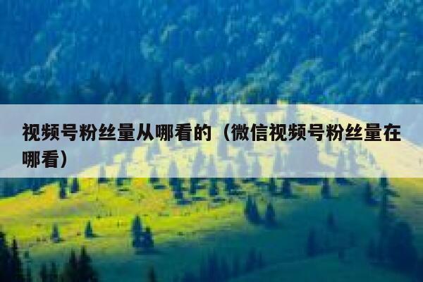 视频号粉丝量从哪看的（微信视频号粉丝量在哪看） 第1张