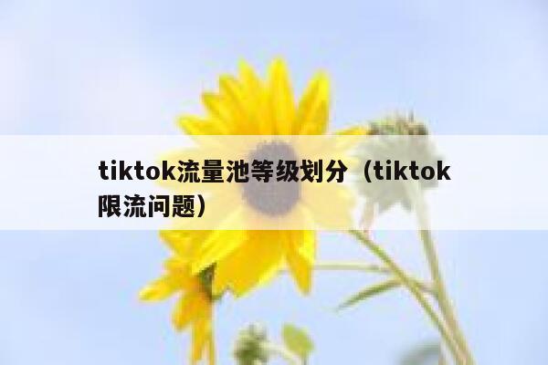 tiktok流量池等级划分（tiktok限流问题） 第1张