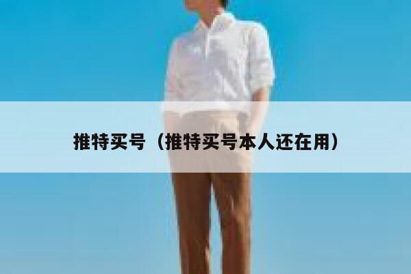 推特买号（推特买号本人还在用） 第1张