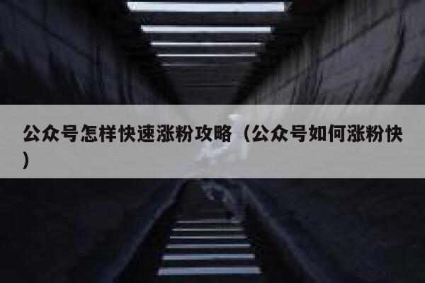 公众号怎样快速涨粉攻略（公众号如何涨粉快） 第1张