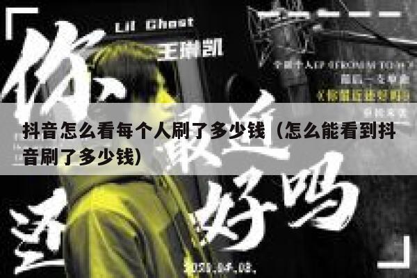 抖音怎么看每个人刷了多少钱（怎么能看到抖音刷了多少钱） 第1张