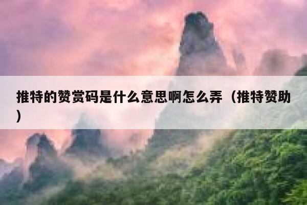 推特的赞赏码是什么意思啊怎么弄（推特赞助） 第1张