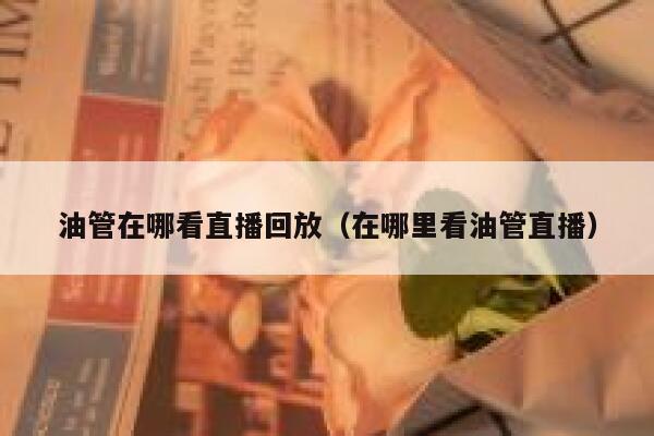油管在哪看直播回放（在哪里看油管直播） 第1张