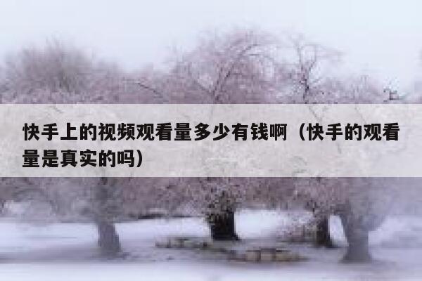快手上的视频观看量多少有钱啊（快手的观看量是真实的吗） 第1张