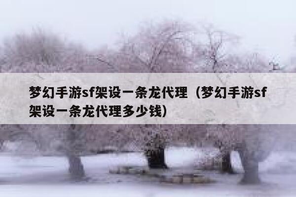 梦幻手游sf架设一条龙代理（梦幻手游sf架设一条龙代理多少钱） 第1张