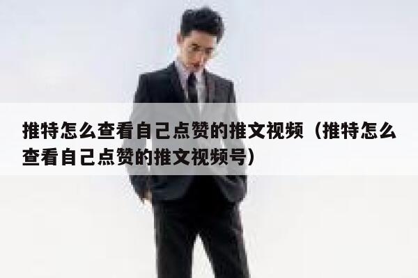 推特怎么查看自己点赞的推文视频（推特怎么查看自己点赞的推文视频号） 第1张