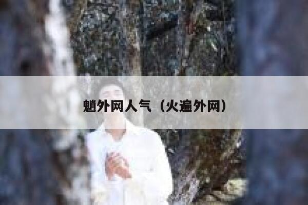 魈外网人气（火遍外网） 第1张